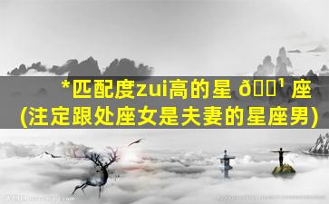 *
匹配度zui
高的星 🌹 座(注定跟处座女是夫妻的星座男)
